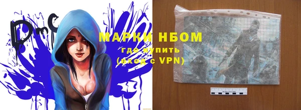 мяу мяу мука Елизово